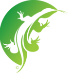 ReptileRiff-C-NoText-300x296